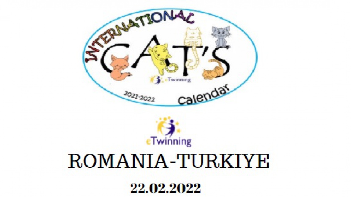 International Cats Calendar ekibi olarak ilk öğrenci toplantımızı Romanya ile gerçekleştirdik.